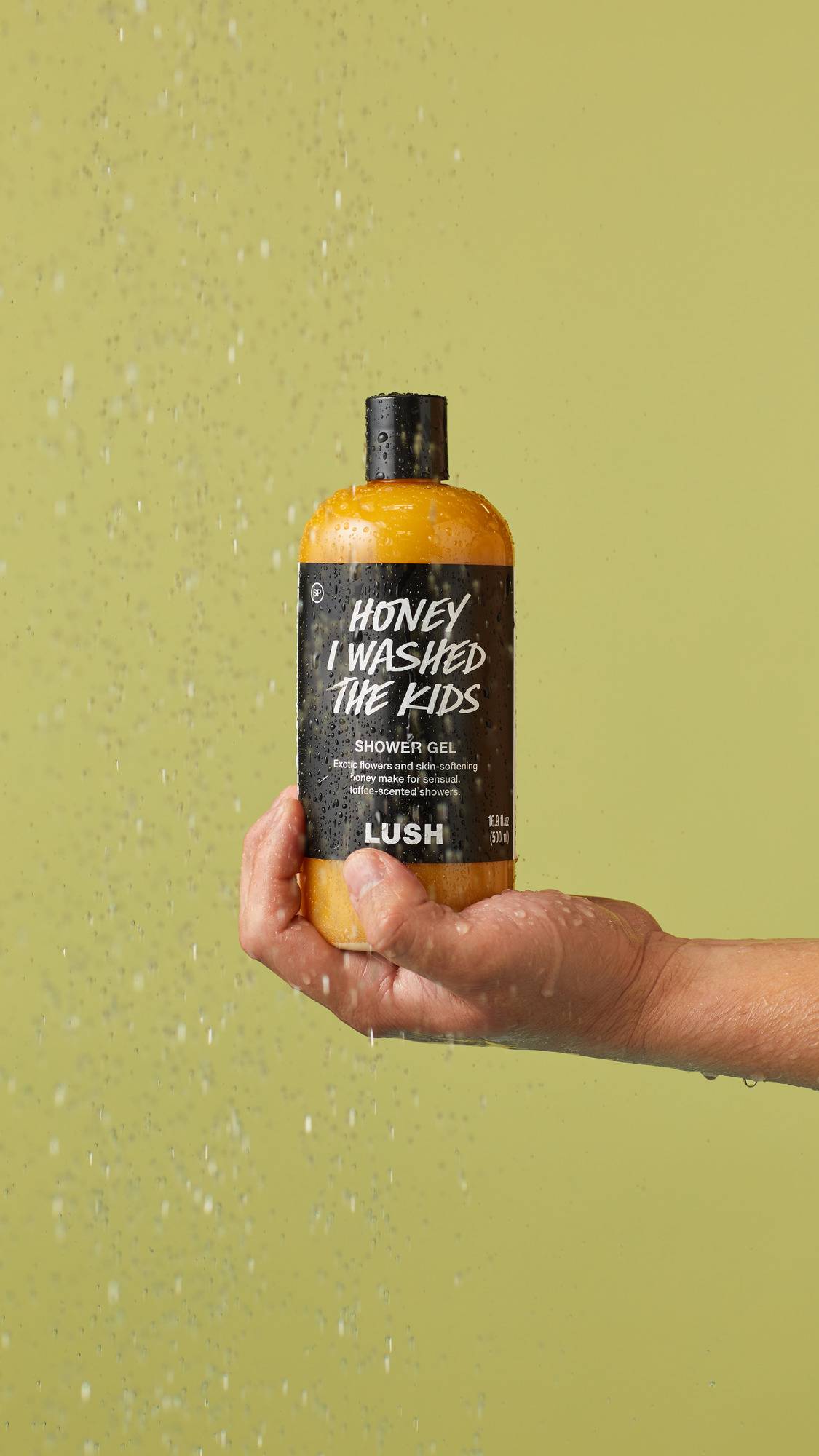 A06543B6-A355-B164-B9D4-17C0A3EBDD78